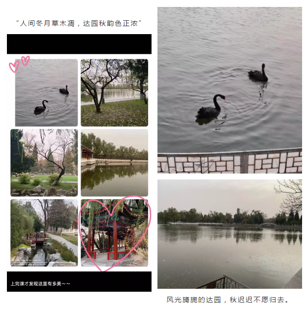 碩博學(xué)位班