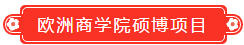 歐洲商學(xué)院碩博項(xiàng)目