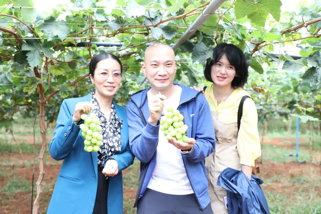 碩博學位班九月云南研學紀實