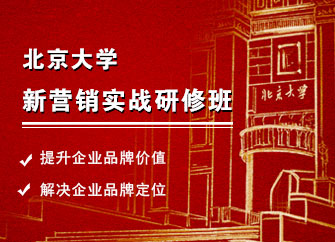 北京大學新營銷實戰研修班